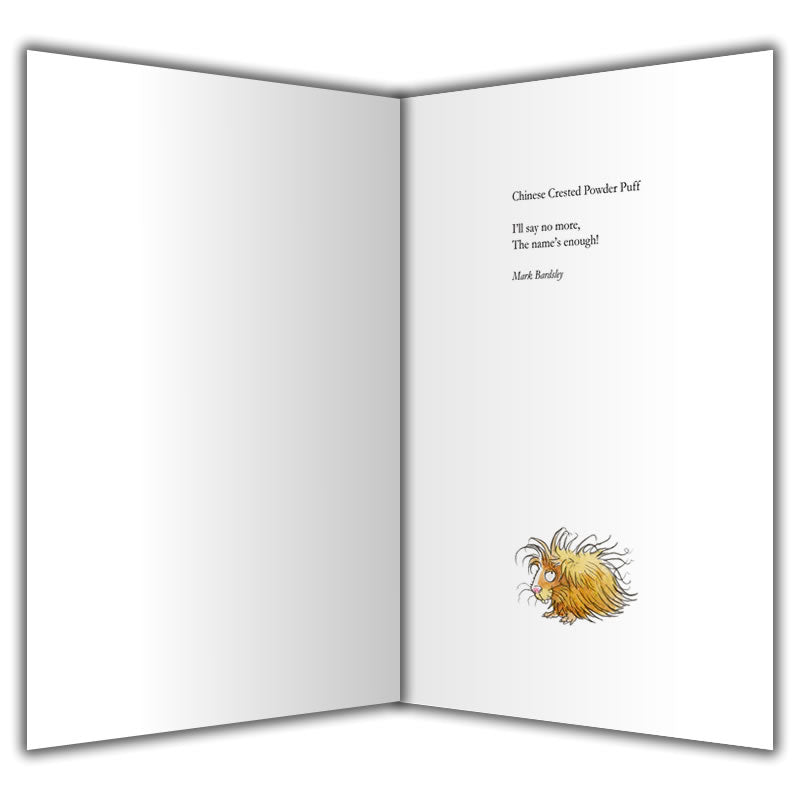 Chinese Crested Powderpuff Greetings Card